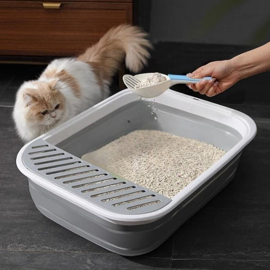 Cómo mantener el hogar libre de olores si tienes uno o varios gatos