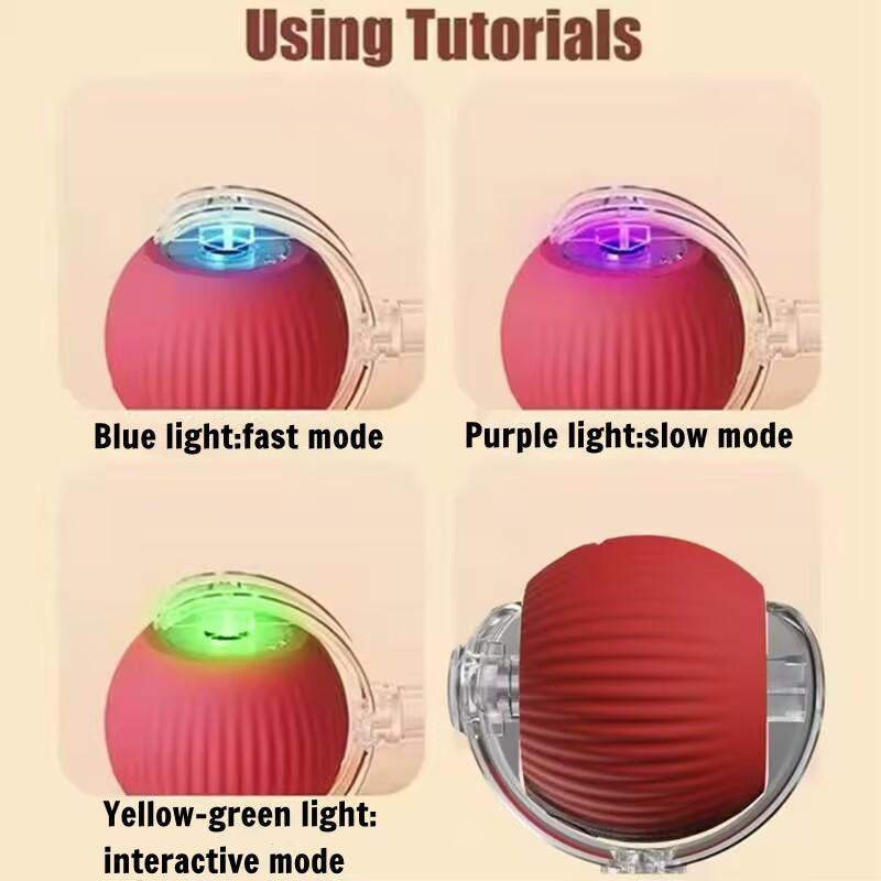 Electric Cat Ball Toy with Rope, Interactive Cat Teaser Toy, Automatic Rolling Ball Toy, Pet Supplies, Dog & Cat Accessories