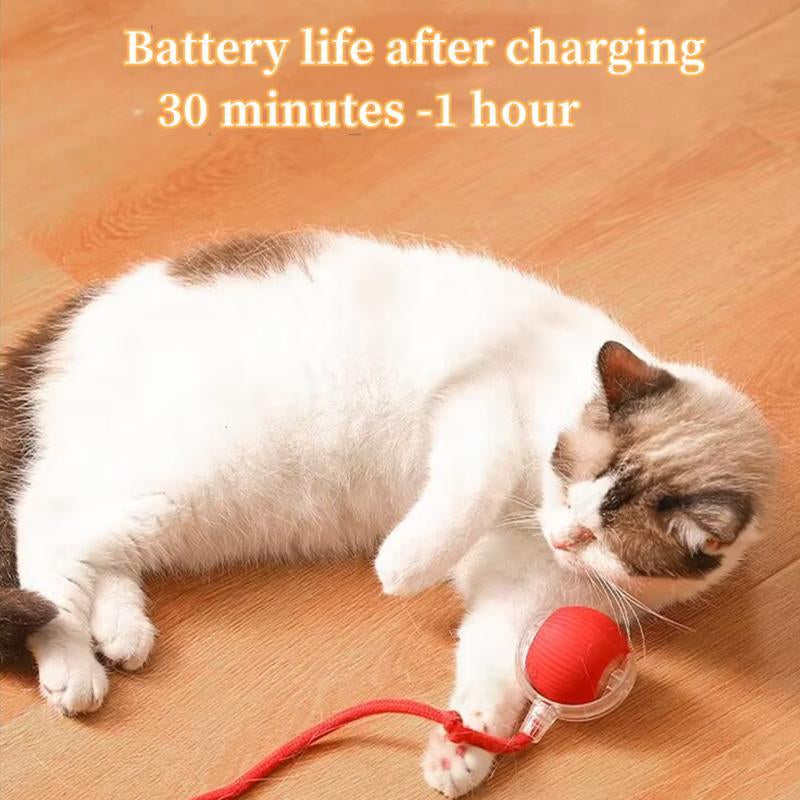 Electric Cat Ball Toy with Rope, Interactive Cat Teaser Toy, Automatic Rolling Ball Toy, Pet Supplies, Dog & Cat Accessories