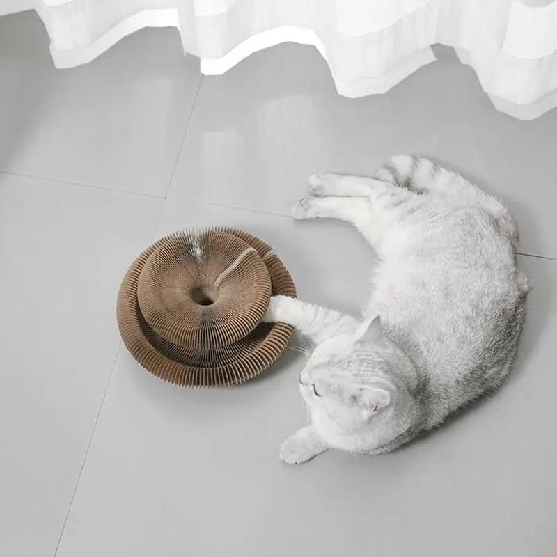 Juguete Rascador de Cartón para Gatos - Tabla Rascadora Plegable con Pelota y Pista - Accesorio para Raspar y Jugar