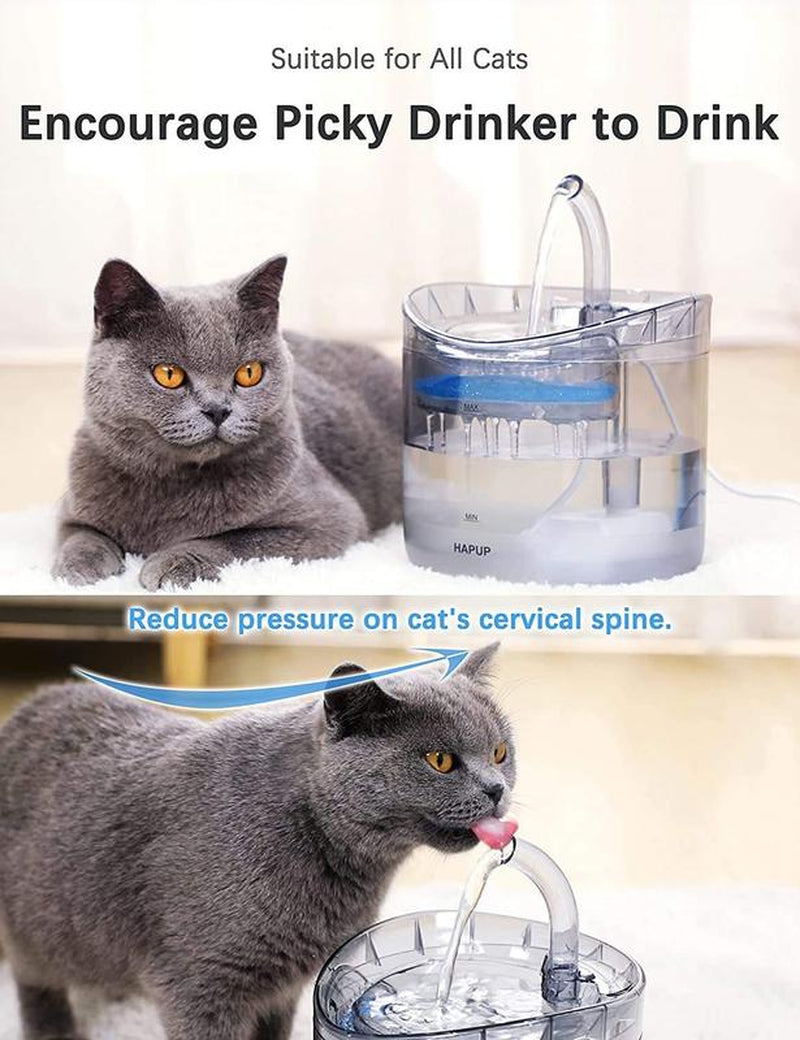 Fuente de Agua para Gatos - Dispensador Animal de Agua Fresca