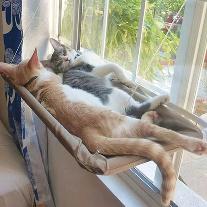 Cama Colgante para Gatos - Hamaca Aérea para Ventana, Casa Nido para Gatitos con Soporte hasta 20kg