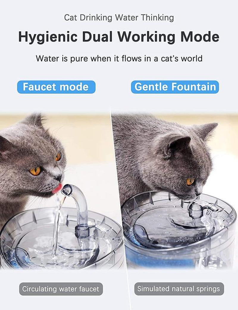 Fuente de Agua para Gatos - Dispensador Animal de Agua Fresca