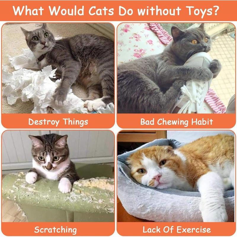Juguetes con Hierba Gatera para Gatos - Almohadas Interactivas y Mordedores con Catnip Natural para Gatos de Interior