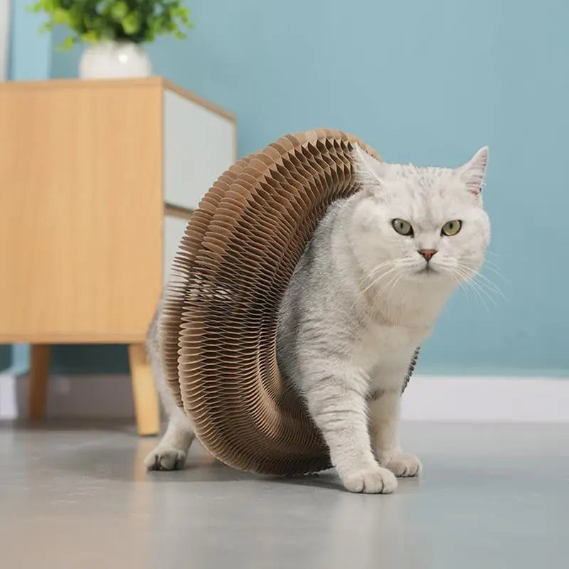 Juguete Rascador de Cartón para Gatos - Tabla Rascadora Plegable con Pelota y Pista - Accesorio para Raspar y Jugar