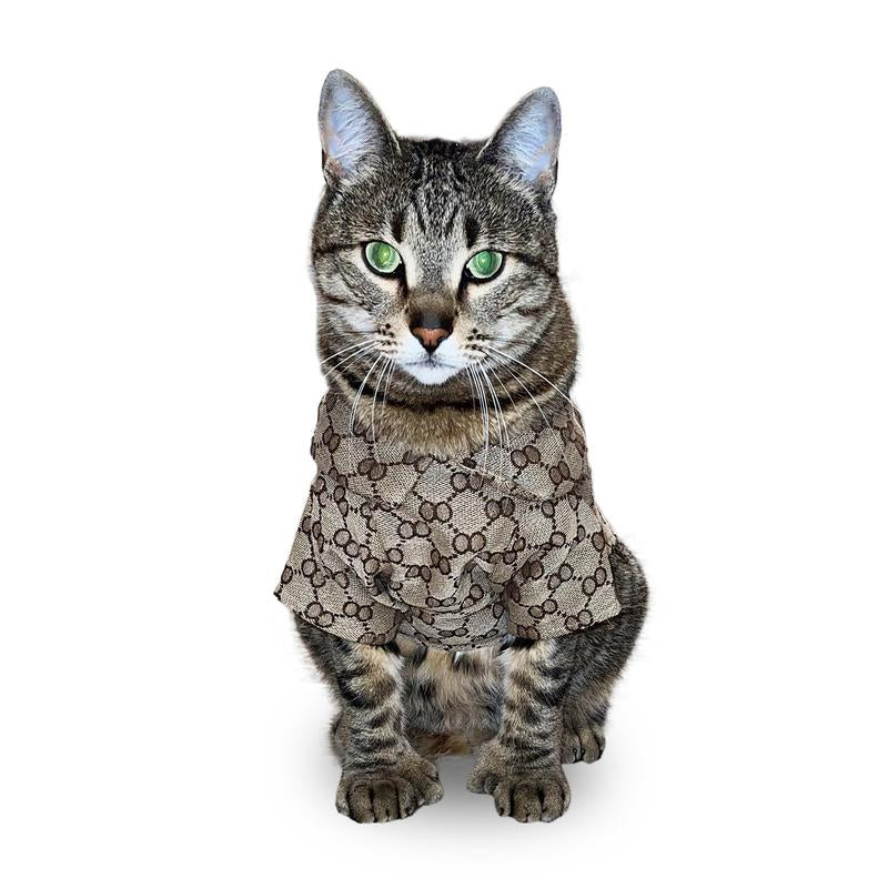 Ropa para Mascotas - Camiseta Marrón para Gatos y Perros Pequeños - Pet Couture