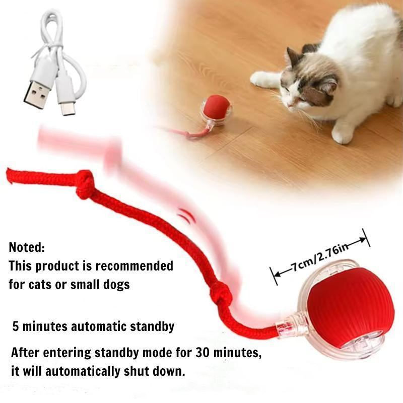 Electric Cat Ball Toy with Rope, Interactive Cat Teaser Toy, Automatic Rolling Ball Toy, Pet Supplies, Dog & Cat Accessories