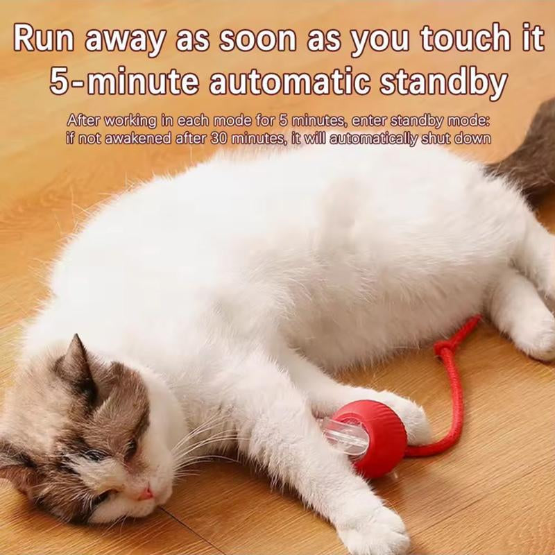 Electric Cat Ball Toy with Rope, Interactive Cat Teaser Toy, Automatic Rolling Ball Toy, Pet Supplies, Dog & Cat Accessories