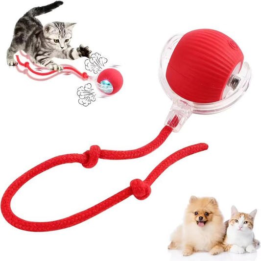 Electric Cat Ball Toy with Rope, Interactive Cat Teaser Toy, Automatic Rolling Ball Toy, Pet Supplies, Dog & Cat Accessories
