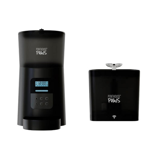 Comedero Automático para Gatos - Dispensador de Agua Inteligente
